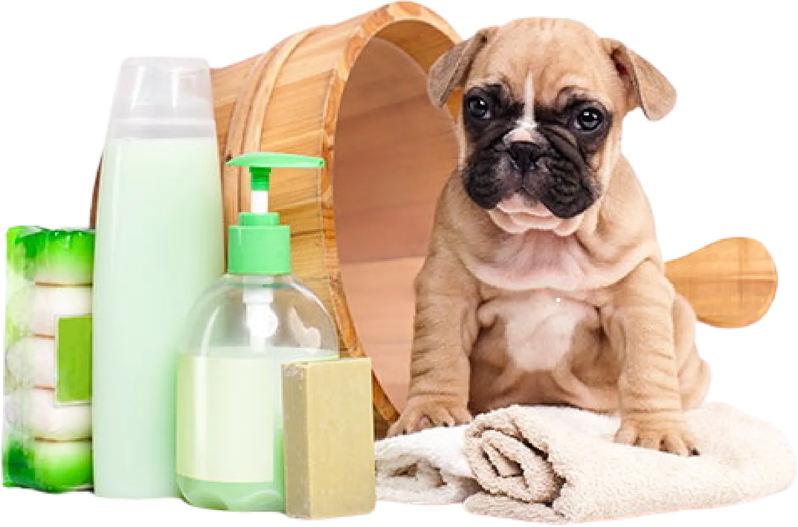 Pet cared for by Lil' Rascals Pet Sitting