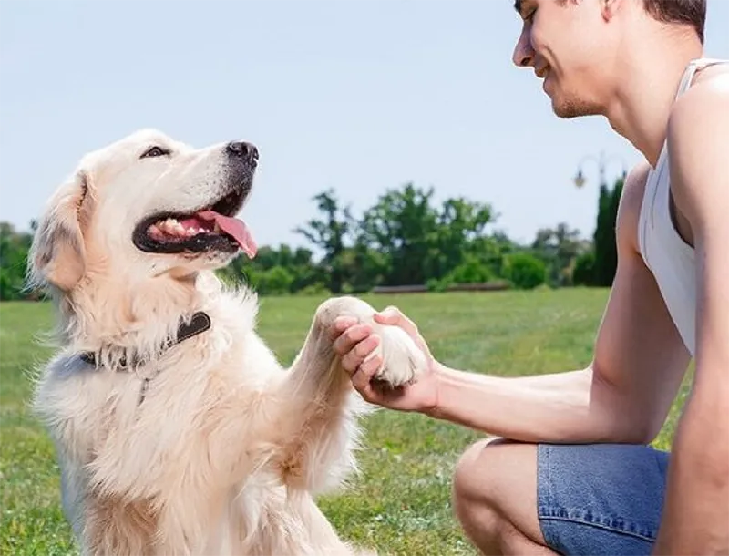 Pet cared for by Lil' Rascals Pet Sitting
